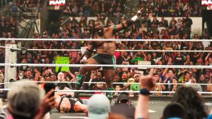 Další informace o zápase Brock Lesnar vs. Oba Femi na WrestleManii 42