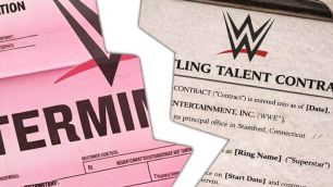 Kontrakty v WWE nenabízejí ve skutečnosti žádnou ochranu před propuštěním