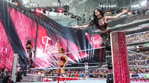 Triple H potvrdil zranění Brie Belly, po SummerSlamu zamířila do nemocnice