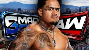 Zilla Fatu dosahuje čísel jako Rollins, Rhodes nebo Punk. Jeho přesun přijde zřejmě brzy