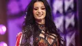 Paige už není vedena jako „free agent”. WWE změnila její zařazení
