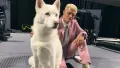 Cody Rhodes připravuje nové logo American Nightmare na památku svého psa Pharaoha