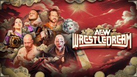 Informace o vysílání a finální karta dnešní show AEW WrestleDream 2025