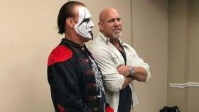 Goldberg uvažoval, že jeho posledním soupeřem bude Sting