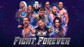 Jak si vede AEW: Fight Forever ve světových recenzích?