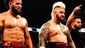 Potenciální nový člen The Bloodline možná zamíří do WWE