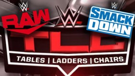 WWE uvažuje o přesunu zápasů z TLC na televizní shows