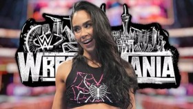 Byl odhalen plán pro velký zápas AJ Lee na WrestleManii 42
