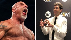 Tony Khan chtěl údajně v AEW vytvořit další streak pro Goldberga