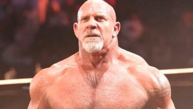 Wrestler WWE chce být soupeřem Billa Goldberga v jeho rozlučkovém zápase