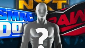 SPOILER týkající se nové posily pro hlavní roster, Jak se dařilo NXT?