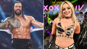 Přehled současných TOP favoritů letošních Royal Rumble zápasů