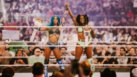 Kritice čelí Sasha Banks ale i WWE pro své zveřejněné stanovisko