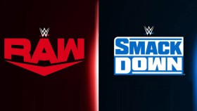 WWE odhalila největší hvězdy RAW a SmackDownu po letošním draftu