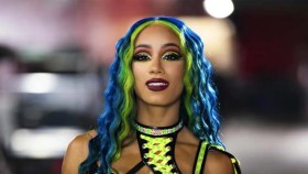 Náznaky o návratu TOP ženské hvězdy do WWE nabírají na síle