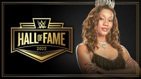 WWE oznámila další jméno pro letošní ceremoniál Hall of Fame