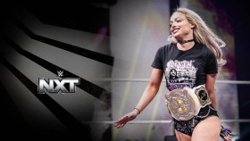 Dobrá zpráva pro WWE NXT po WrestleManii 41
