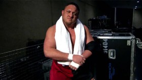 Impact Wrestling naznačil příchod tří nedávno propuštěných hvězd WWE