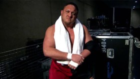 Důležité: Samoa Joe byl opět propuštěn z WWE