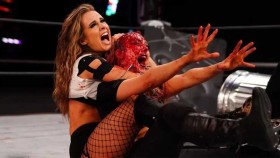 WWE se obula do „krvavého sebemrzačení” v nedávném zápase AEW