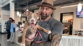 Bývalý wrestler WWE Batista zachránil týrané štěně