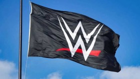 WWE propustila další zvučné zákulisní jméno