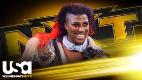 Vracející se Ember Moon odstartuje dnešní NXT