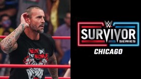 CM Punk na WWE Survivor Series v Chicagu. Ano nebo ne?
