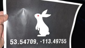 WWE našla další způsob, jak propagovat záhadu s bílým králíkem