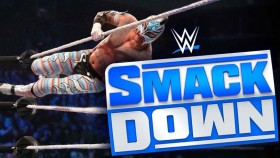 SmackDown možná čeká v letošním roce velká změna