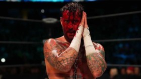 Veterán a bývalý wrestler WWE vyzval CM Punka k zápasu