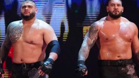 Informace o plánu WWE pro návrat The Authors of Pain