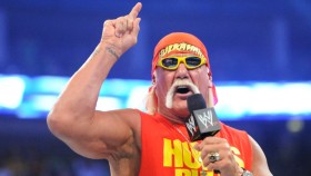WWE se dohodla na dlouhodobém partnerství s Hulkem Hoganem