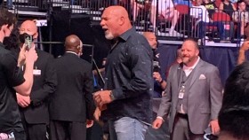 Video a foto z účasti Billa Goldberga na placené akci UFC 262