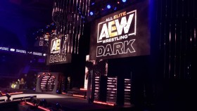 V AEW debutovala další bývalá hvězda WWE, která byla propuštěna minulý rok