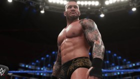 Porota ve sporu o autorská práva na tetování Randyho Ortona rozhodla ve prospěch umělkyně, ale má to jeden velký háček