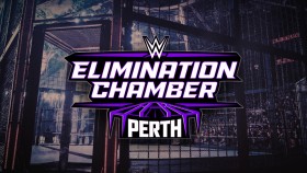 Možný spoiler týkající se vítězů zápasů na WWE Elimination Chamber