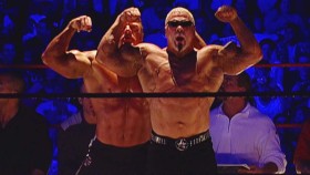 Scott Steiner tvrdí, že už nemá vztek na WWE a Triple He