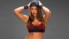 Nikki Bella chce další zápasy po návratu na Royal Rumble