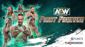 Čím se obal AEW: Fight Forever zapíše do historie wrestlingových videoher?