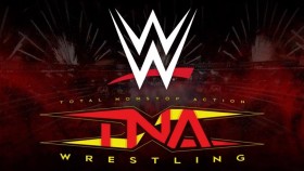 Jedna z hvězd TNA je na odchodu a zřejmě zamíří do WWE