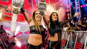 Jeden z možných plánů WWE pro ženské týmové tituly