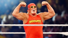 Hulk Hogan pochválil tři TOP hvězdy a WWE Hall of Famera