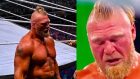 Brock Lesnar byl odstraněn z videohry od WWE 2K