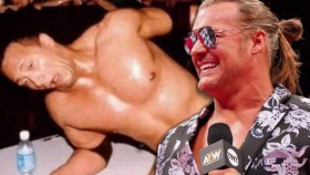 Chris Jericho potvrdil, že vyfotil The Rocka během jejich zápasu