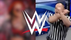 Špatná zpráva: Možné zranění šampionky WWE