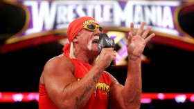 Hulk Hogan vnímá moderování WrestleManie 37 jako skvělý způsob završení své kariéry