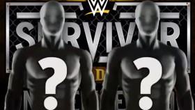 SPOILER: Kompletní pořadí zápasů na WWE Survivor Series: WarGames