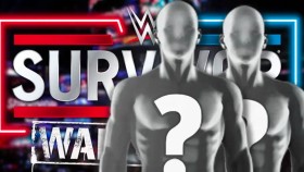 Dvě bývalé hvězdy WWE jsou v dějišti Survivor Series