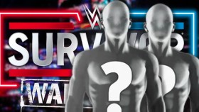 SPOILER: Byl potvrzen velký zápas na WWE Survivor Series: WarGames